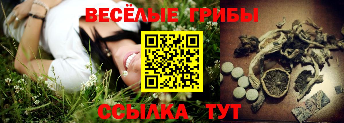 Псилоцибиновые грибы ЛСД Медногорск